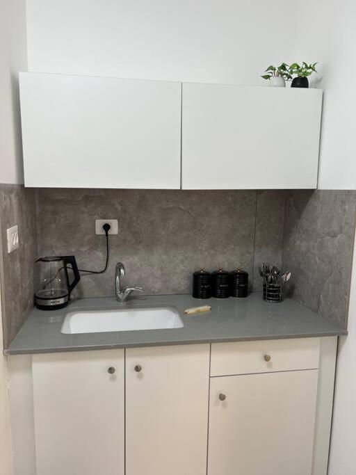 שחף ברוזמרין Apartment