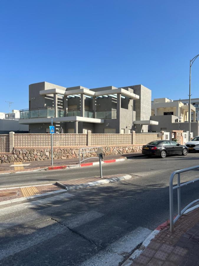 שחף ברוזמרין Eilat